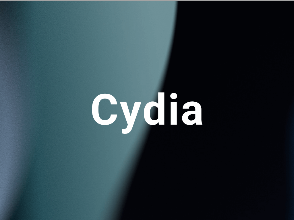 Cydia for iOS 15 and below